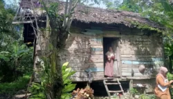 Kisah Pilu Ibu dan Anak Dusun Bantayan Bertahan Hidup di Gubuk Rapuh: Atap dari Daun, Dindingnya Berlubang