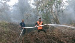kebakaran aceh barat Kebakaran Lahan Gambut di Aceh Barat, 2 Hektar Terbakar dan Upaya Pemadaman Masih Berlangsung