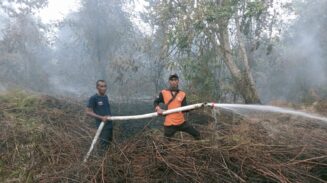 kebakaran aceh barat Kebakaran Lahan Gambut di Aceh Barat, 2 Hektar Terbakar dan Upaya Pemadaman Masih Berlangsung