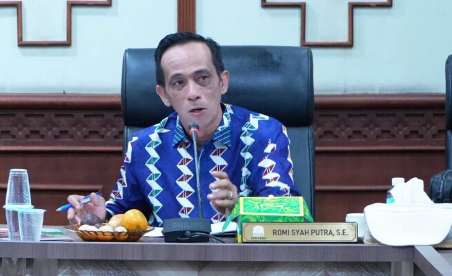 Romi Syah Putra Barsela