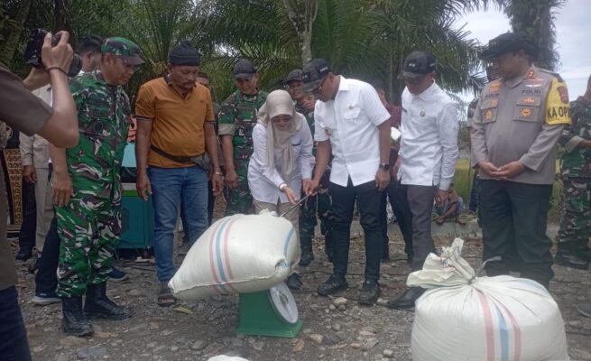 panen raya serentak abdya