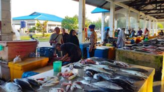 pasar ikan ujong serangga abdya