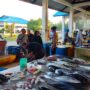 pasar ikan ujong serangga abdya