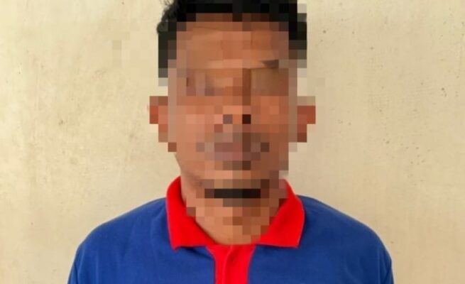 Polisi Tangkap Warga Trienggadeng, Terlibat Kasus Pencurian Motor