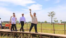 Bulog Serap 2 Juta Ton Beras Lokal, Indonesia Cetak Rekor Sepanjang Sejarah