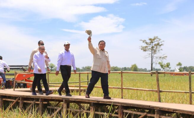 Bulog Serap 2 Juta Ton Beras Lokal, Indonesia Cetak Rekor Sepanjang Sejarah