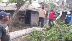 Hujan Deras dan Angin Kencang Terjang Abdya, Tujuh Rumah dan Satu Kios Rusak