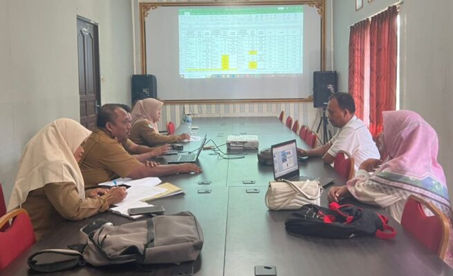 Cegah Penyakit Menular, Gampong di Abdya Luncurkan Program Rumah Desa Sehat