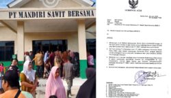 Gubernur Aceh Desak Penutupan Sementara PT MSB II di Subulussalam
