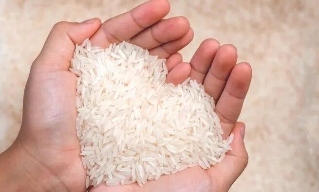 85 Persen Beras Premium Tak Sesuai Standar, Dokter Ingatkan Dampak Konsumsi Beras Oplosan