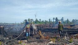 Karhutla di Aceh Selatan Capai 18 Hektare Sepanjang Juni 2025