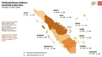 BPS: Ekonomi Aceh Naik 4,82 Persen, Sektor Pertanian dan Ekspor Unggul
