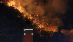 Kebakaran Lahan di Aceh Selatan, Dua Hektare Hutan Terbakar