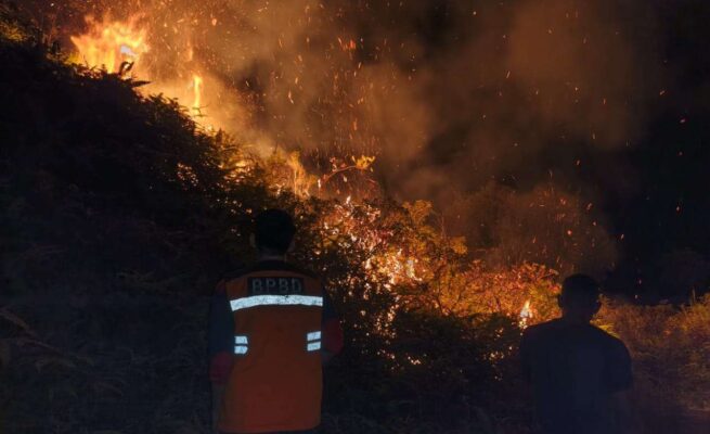 Kebakaran Lahan di Aceh Selatan, Dua Hektare Hutan Terbakar