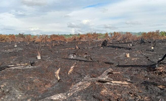Kebakaran Lahan 5,5 Hektare di Nagan Raya Berhasil Dipadamkan, Warga Diimbau Waspada