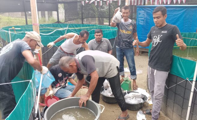 Pemdes Geulumpang Payong Panen Perdana Lele Bioflok, 370 Rumah Warga Terima Manfaat