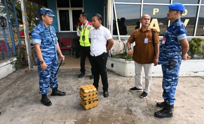 Nyaris Terbang ke Jakarta, 4,2 Kg Ganja Diselundupkan Lewat Cargo Bandara SIM