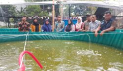 DKP Abdya Tinjau Bioflok Lele di Geulumpang Payong, Dorong Kemandirian Pangan