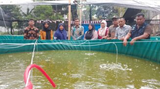 DKP Abdya Tinjau Bioflok Lele di Geulumpang Payong, Dorong Kemandirian Pangan