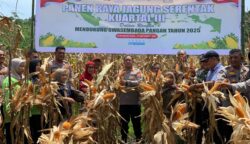 Polres Abdya Dukung Ketahanan Pangan, Panen Raya Jagung Hasilkan 150 Ton