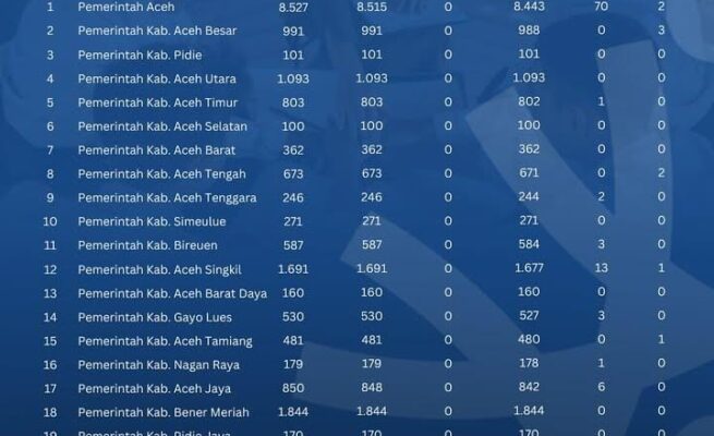 Data Terbaru NIPPPK: 24.936 Usulan dari 24 Instansi di Aceh Sudah Diproses BKN