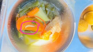 Sayur Berulat di Menu Makanan Bergizi Gratis, Warga Abdya Pertanyakan Pengawasan Program