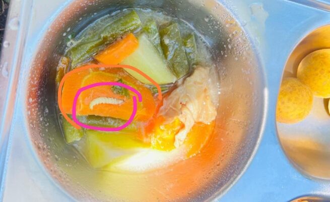 Sayur Berulat di Menu Makanan Bergizi Gratis, Warga Abdya Pertanyakan Pengawasan Program