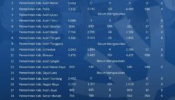 Update NIPPPK Aceh: 25 Ribu Formasi Sudah Disetujui, Sebagian Masih Proses di BKN