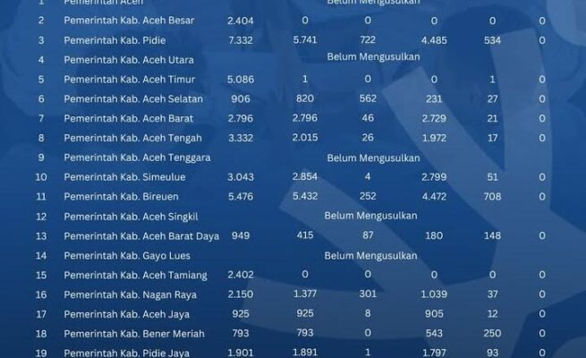 Update NIPPPK Aceh: 25 Ribu Formasi Sudah Disetujui, Sebagian Masih Proses di BKN