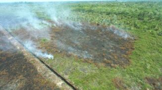 0,7 Hektare Lahan Terbakar di Suak Raya Aceh Barat, BPBD Dikerahkan ke Lokasi