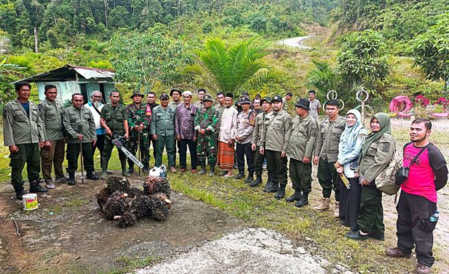 Operasi Gabungan Tertibkan 18,5 Hektare Sawit Ilegal di Hutan Abdya