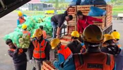 Akses Darat Masih Terputus, Hasil Panen Cabai Petani Bener Meriah Diangkut Pesawat Hercules TNI AU