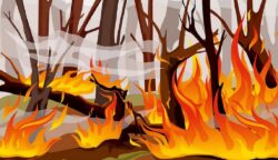 BMKG Aceh Deteksi Satu Titik Panas Karhutla di Nagan Raya