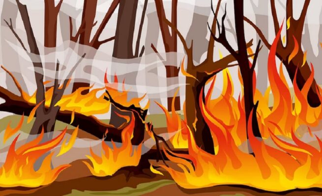 BMKG Aceh Deteksi Satu Titik Panas Karhutla di Nagan Raya