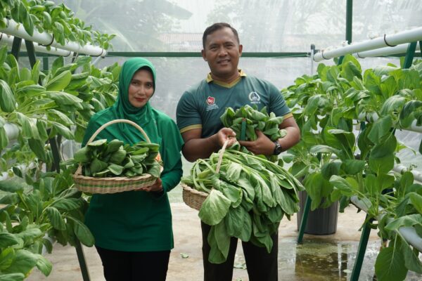 Dandim Abdya Manfaatkan Pekarangan Rumdis jadi Sentra Produksi Pertanian dan Pangan
