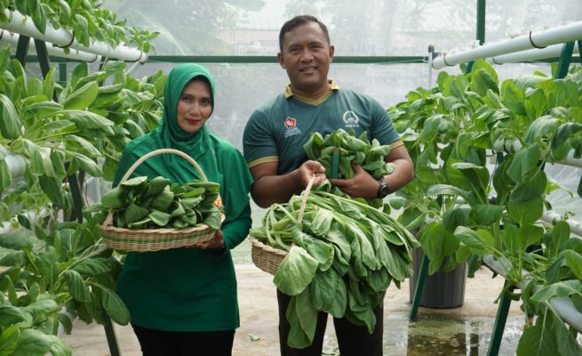 Dandim Abdya Manfaatkan Pekarangan Rumdis jadi Sentra Produksi Pertanian dan Pangan