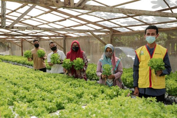 Pertanian Masih Jadi Penopang Utama Ekonomi Aceh, Kontribusi 32,74 Persen