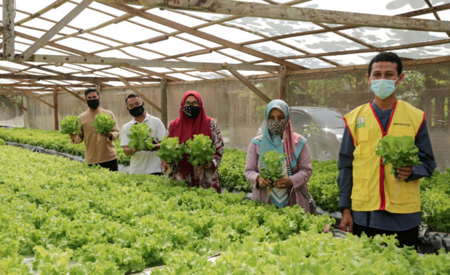 Pertanian Masih Jadi Penopang Utama Ekonomi Aceh, Kontribusi 32,74 Persen