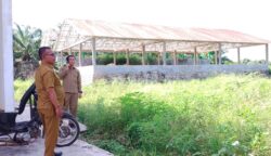 Manfaatkan Lahan Kosong, PUPR Abdya Tanam Hortikultura Dukung Program MBG