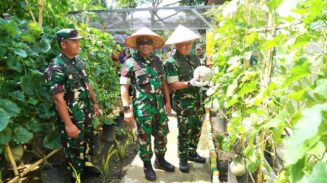 Kasdam Iskandar Muda Apresiasi Inovasi Dandim Abdya Kembangkan Pekarangan Jadi Lahan Ketahanan Pangan