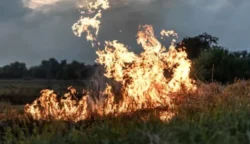 140 Titik Panas Terdeteksi di Aceh, BMKG Minta Pemda dan Warga Waspadai Potensi Karhutla