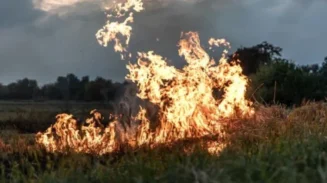 140 Titik Panas Terdeteksi di Aceh, BMKG Minta Pemda dan Warga Waspadai Potensi Karhutla