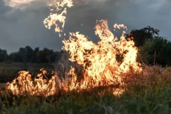 140 Titik Panas Terdeteksi di Aceh, BMKG Minta Pemda dan Warga Waspadai Potensi Karhutla