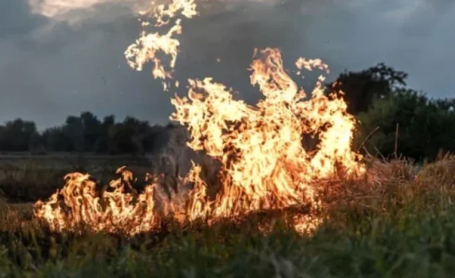 140 Titik Panas Terdeteksi di Aceh, BMKG Minta Pemda dan Warga Waspadai Potensi Karhutla