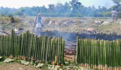 Pecahkan Rekor MURI, Pemkab Abdya Bakar 15 Ribu Batang Lemang