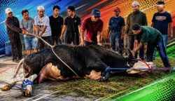 Kurban, APBN, dan Sensitivitas Publik