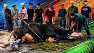 Kurban, APBN, dan Sensitivitas Publik