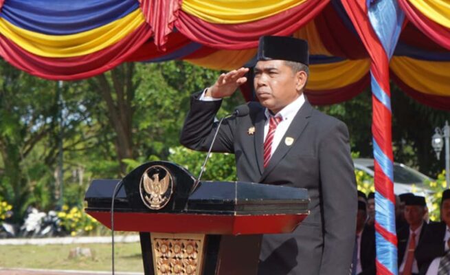 Momentum Harkitnas, Pemkab Abdya Ajak Masyarakat Perkuat Literasi Digital
