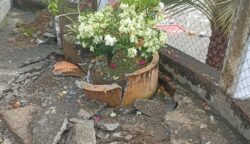 Hujan Deras Wilayah Abdya Picu Longsor di Dayah Manyang Puskiyai Aceh