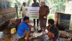 PW ISNU Aceh Salurkan Hewan Kurban ke Tiga Kabupaten/Kota